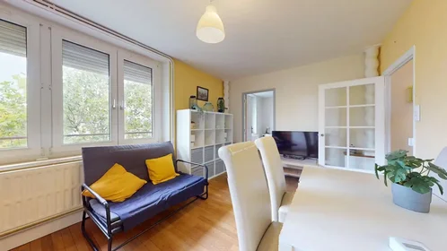 Habitación privada en Boulevard d'Haussonville, Haussonville/Blandan/Donop, imagen 7 de 10