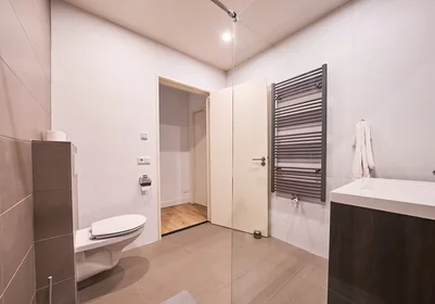 Entire apartment at Leenderweg, Stratum, image 9 of 10