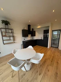 Appartamento intero in Soestdijksekade, Leyenburg, immagine 2 di 10
