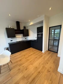 Appartamento intero in Soestdijksekade, Leyenburg, immagine 4 di 10