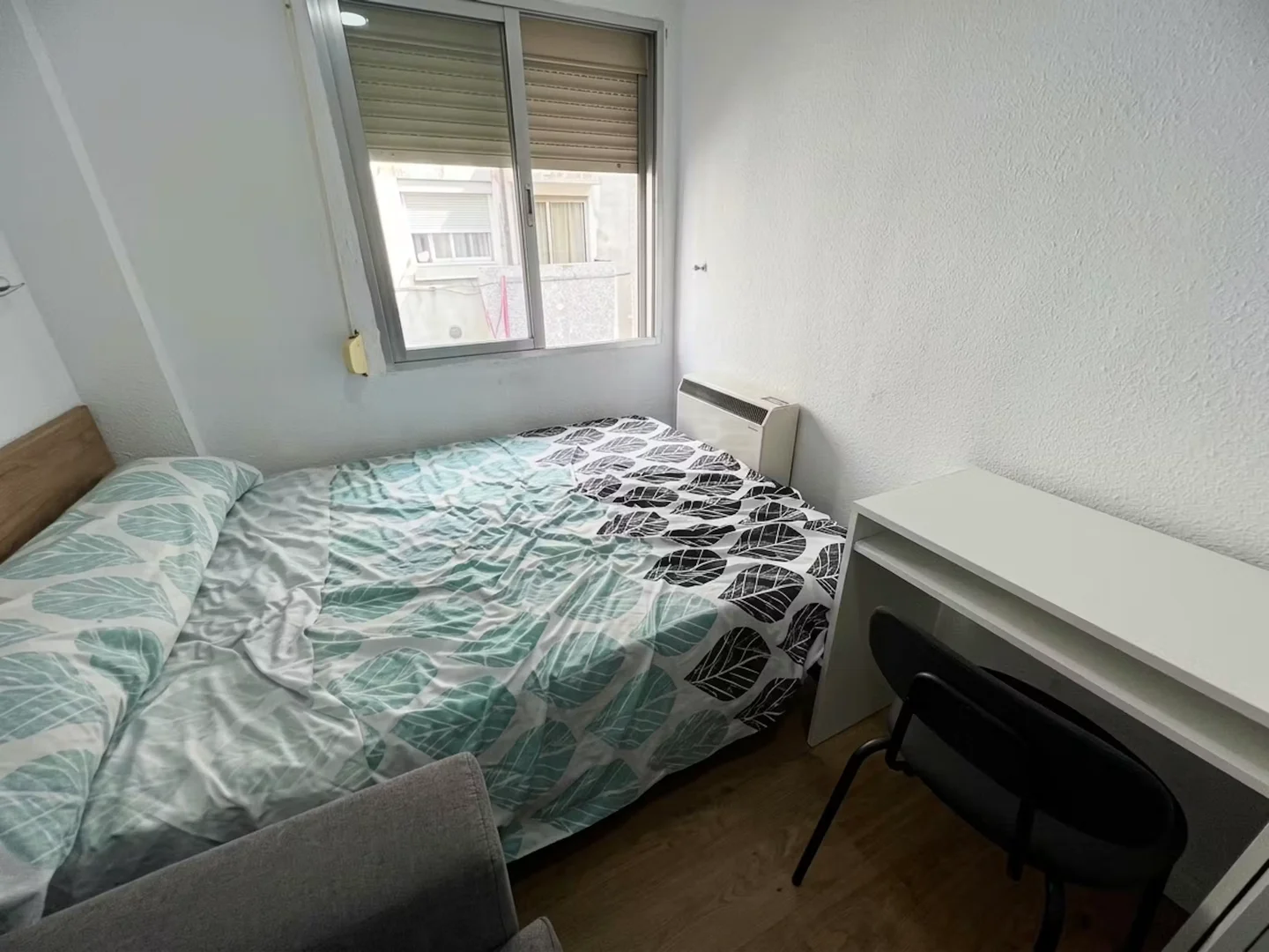 Affordable room for students with ample lighting in 