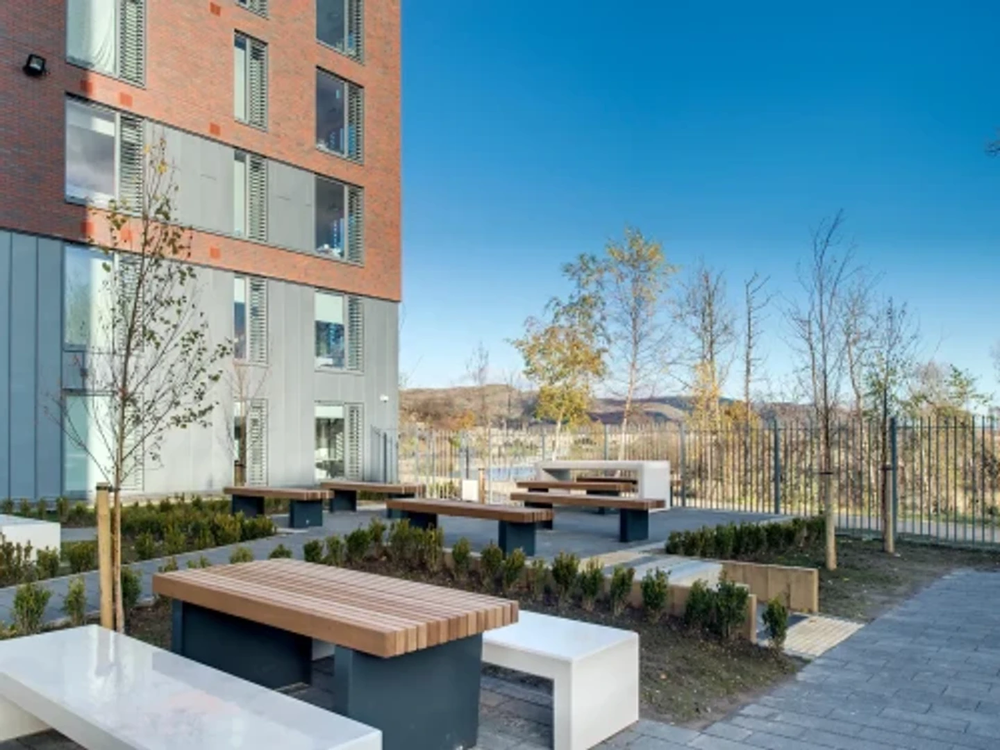 Affordable room for students with ample lighting in 