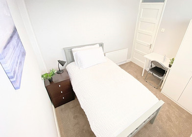 Alquiler de habitación en piso compartido en Cork