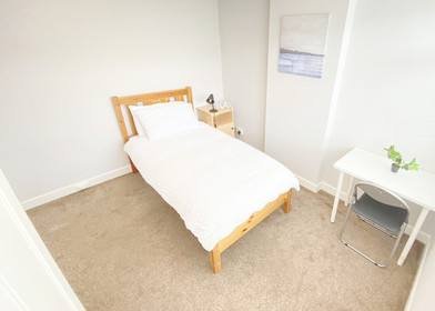 Alquiler de habitación en piso compartido en Cork