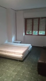 Private room at Via di Casal Bruciato, Collatino, image 3 of 10