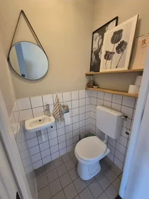 Entire apartment at Joris van Andringastraat, Amsterdam-West, image 6 of 10