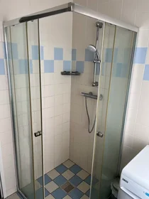Privatzimmer in der Damhertlaan, , bild 8 von 10