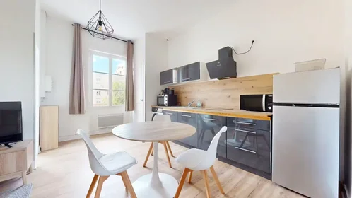 Całe miejsce Rue Bergson, La Terrasse-Bel Air-Carnot-Montaud, obraz 1 10