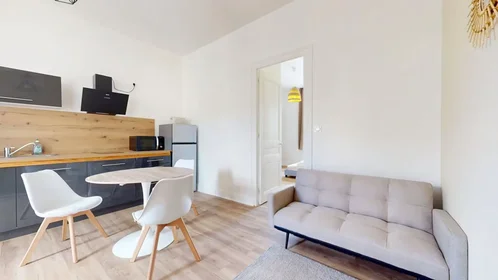 Entire apartment at Rue Bergson, La Terrasse-Bel Air-Carnot-Montaud, image 2 of 10