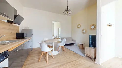 Entire apartment at Rue Bergson, La Terrasse-Bel Air-Carnot-Montaud, image 6 of 10