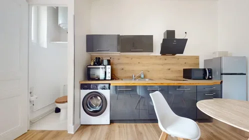 Entire apartment at Rue Bergson, La Terrasse-Bel Air-Carnot-Montaud, image 7 of 10