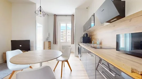 Entire apartment at Rue Bergson, La Terrasse-Bel Air-Carnot-Montaud, image 8 of 10