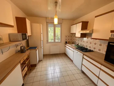 Chambre privée à Avenue Général Gallieni, Pierrefitte-sur-Seine, image 3 de 10