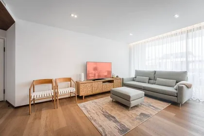 {area} de modern ve aydınlık daire