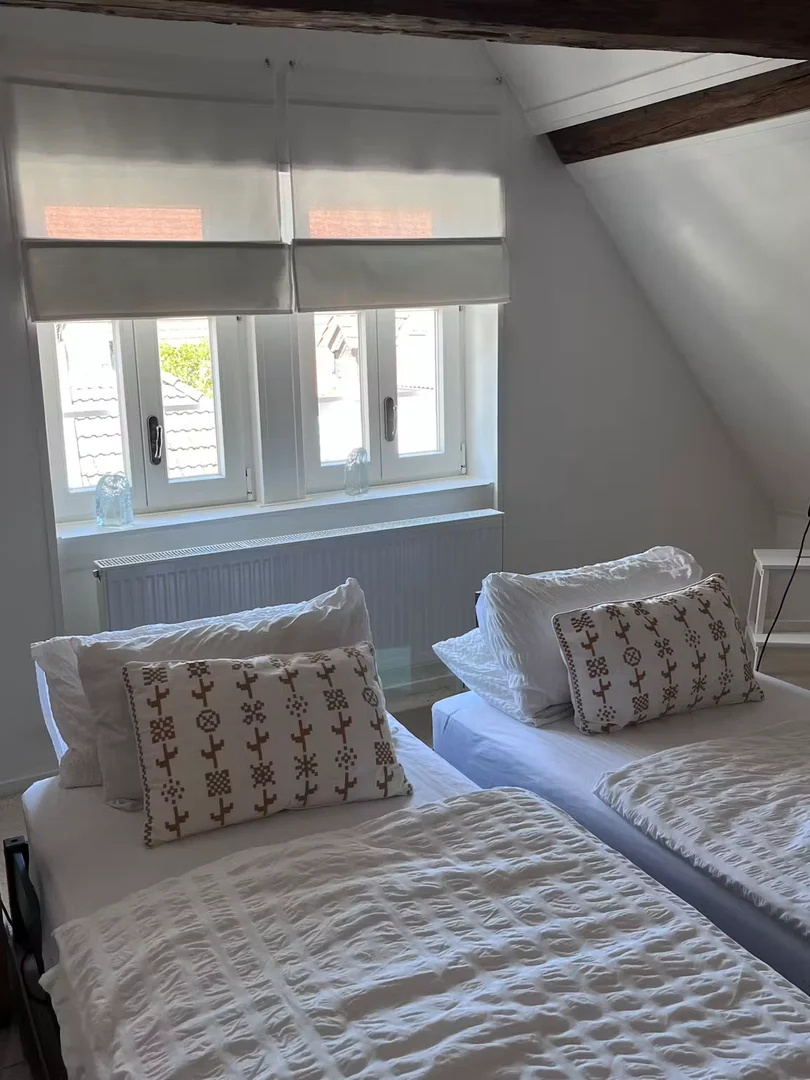 Habitación estudiantil funcional perfecta para estudiar en 