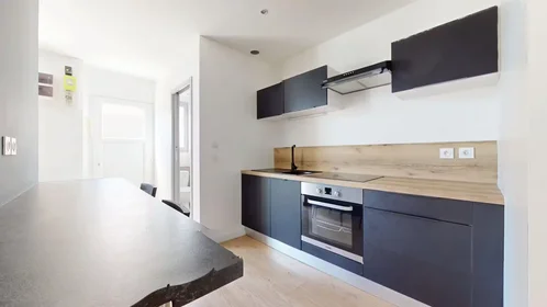 Entire apartment at Rue Robespierre, Croix de l'Orme-Solaure-la Jomayère, image 6 of 10