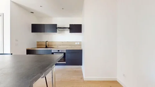 Entire apartment at Rue Robespierre, Croix de l'Orme-Solaure-la Jomayère, image 7 of 10