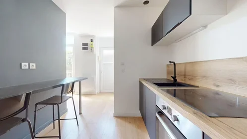 Entire apartment at Rue Robespierre, Croix de l'Orme-Solaure-la Jomayère, image 8 of 10