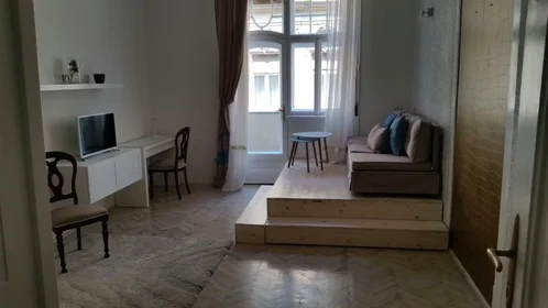 Appartamento in Aradi utca, VI. kerület, immagine 3 di 10