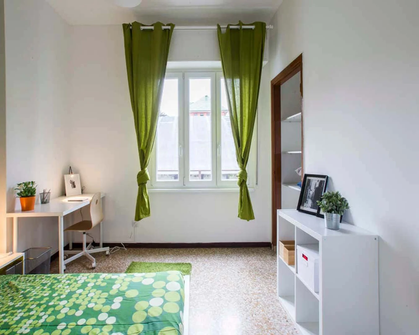 Affordable room for students with ample lighting in 