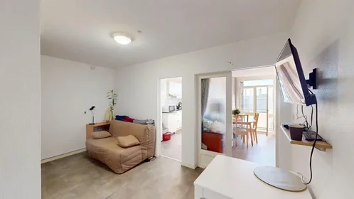 Stanza privata in Rue Emile Guyou, Rangueil-Saouzelong-Pech D.-Pouv., immagine 1 di 10