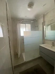 Entire apartment at Rue Pierre de Vernols, Lemasson, image 8 of 10