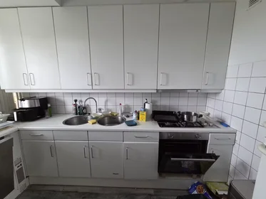Habitación privada en Ocarinalaan, Muziekbuurt, imagen 8 de 10