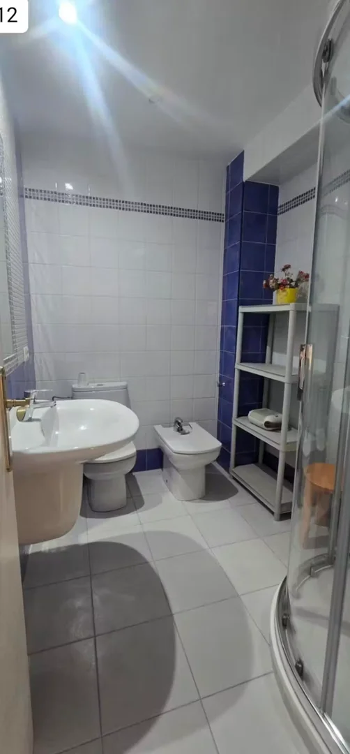 Chambre confortable pour étudiants disponible dans