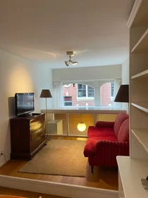 Gesamte Unterkunft in der Eerste Looiersdwarsstraat, Amsterdam-Centrum, bild 2 von 10