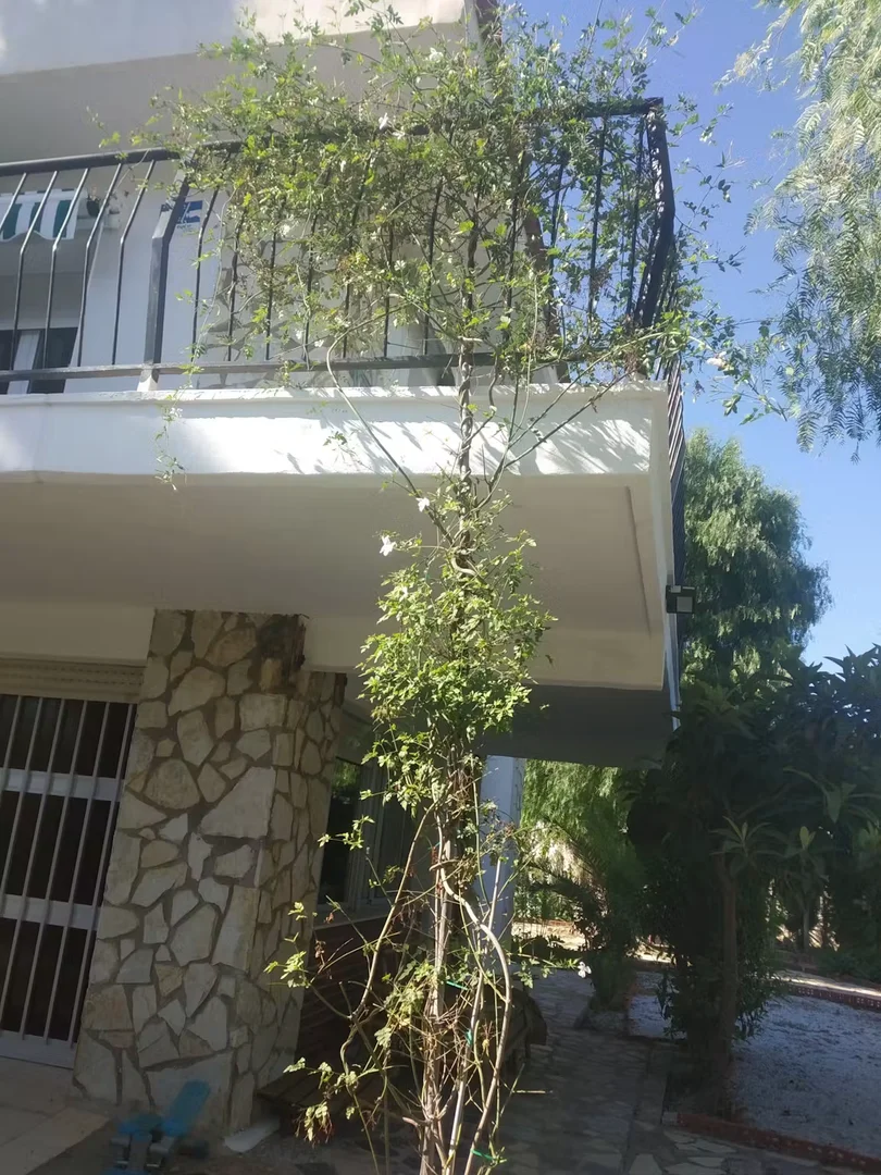 Habitación asequible para estudiantes con buena iluminación en