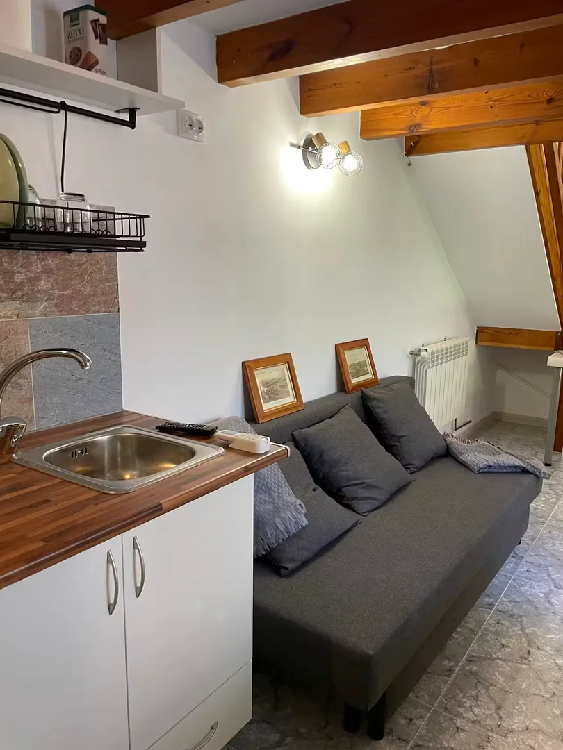 Quarto de estudante confortável e espaçoso em 