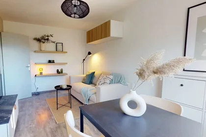 Apartamento inteiro em Rue des Citronniers, Hôpitaux-Facultés, imagem 8 de 8