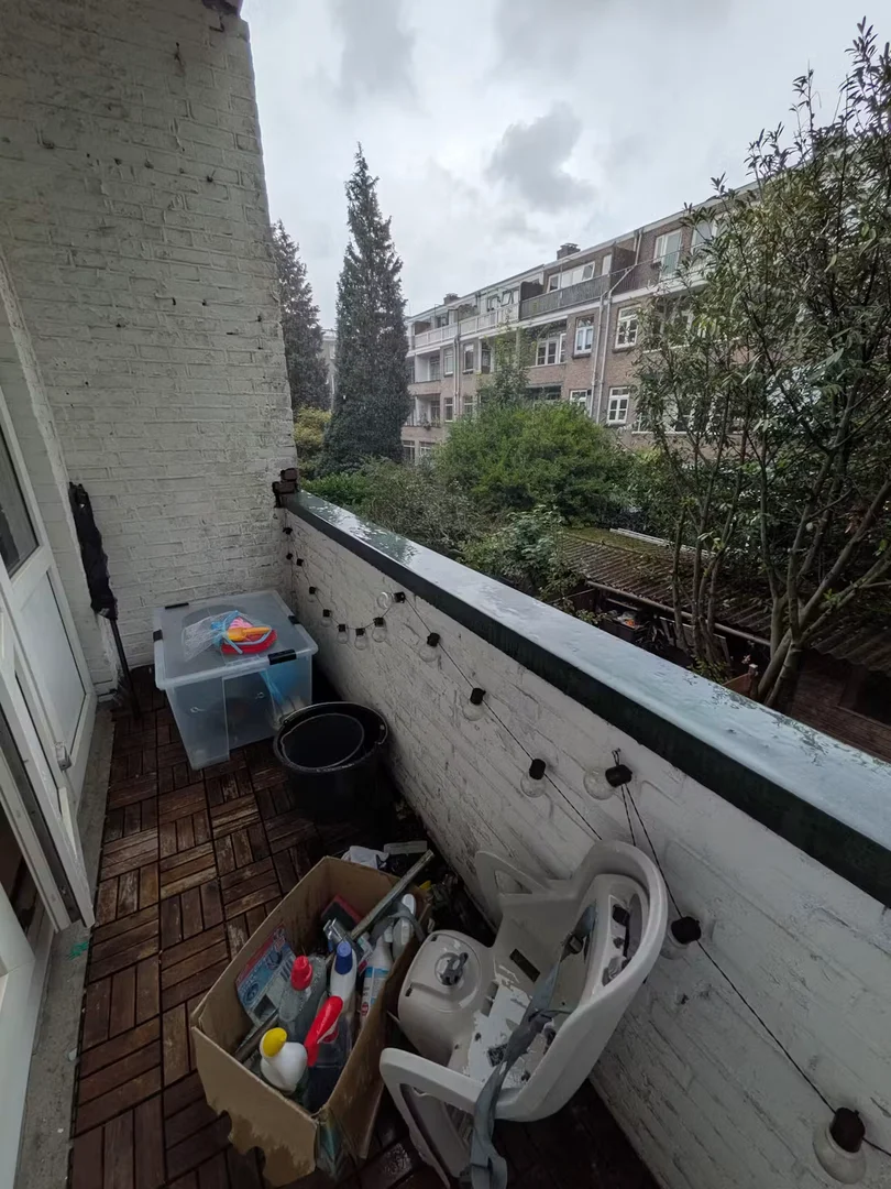 Insulindestraat, Noord