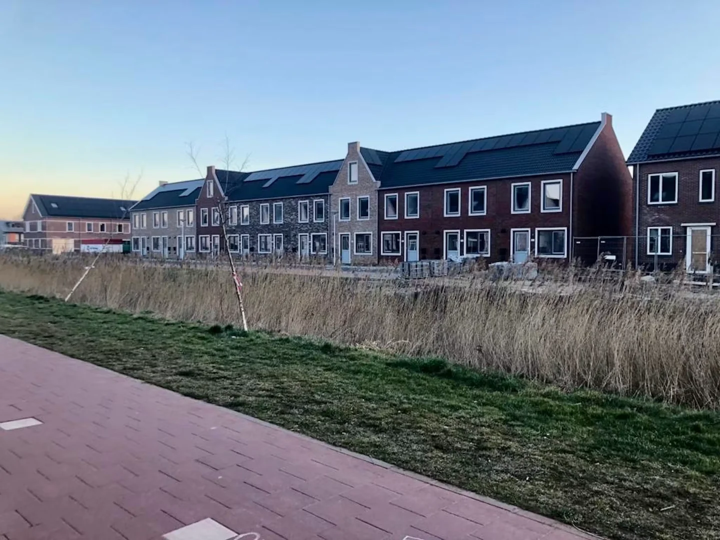 Winterkoning, 