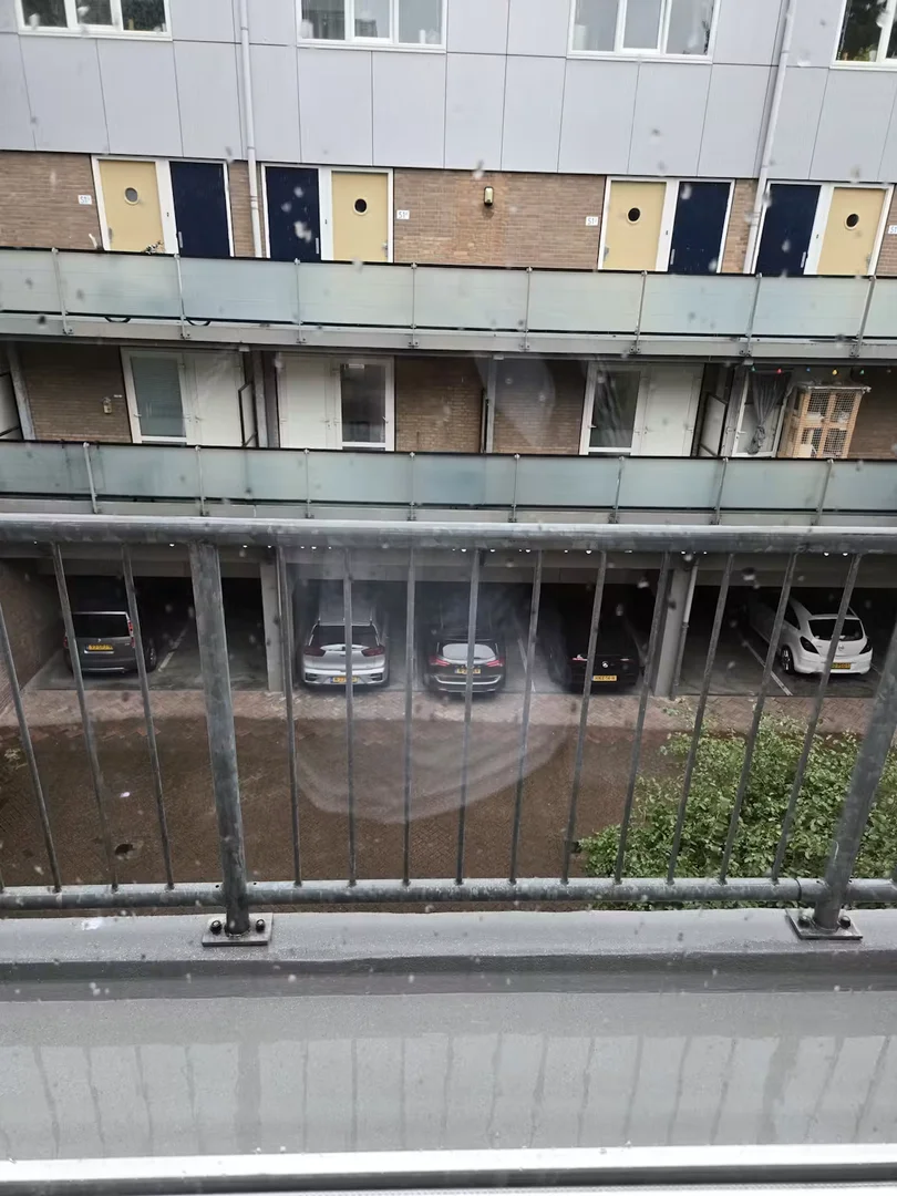 Scheveningsestraat, Noord
