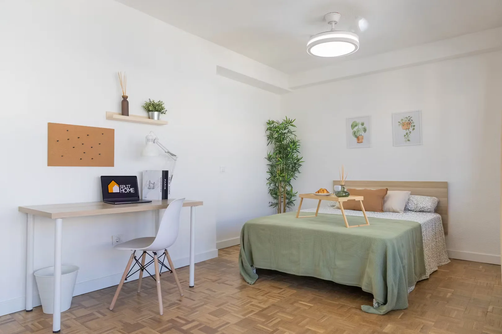 Bright and airy student room with easy university access in