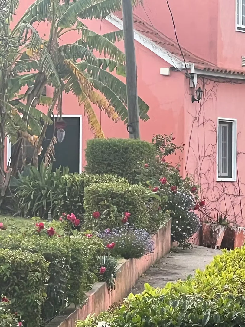 Rua Oliveiras, Fanqueiro