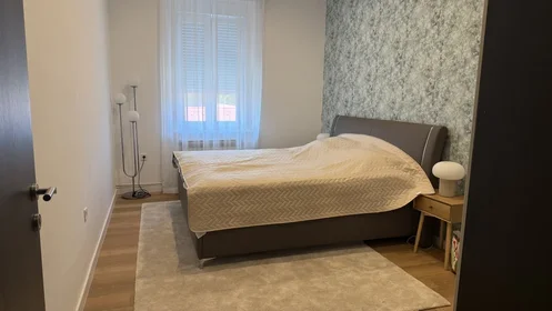 Appartamento intero in Vlaška ulica 24, immagine 2 di 15