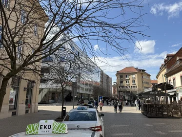 Appartamento intero in Vlaška ulica 24, immagine 11 di 15