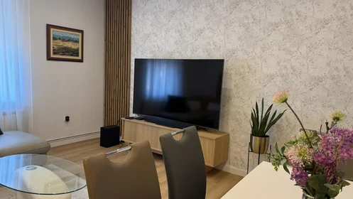 Appartamento intero in Vlaška ulica 24, immagine 6 di 15