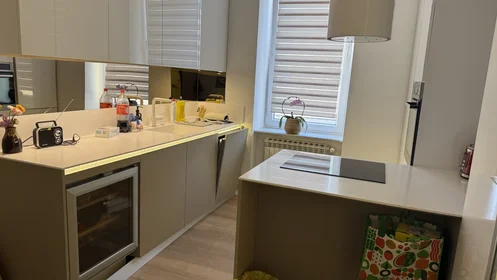 Appartamento intero in Vlaška ulica 24, immagine 7 di 15