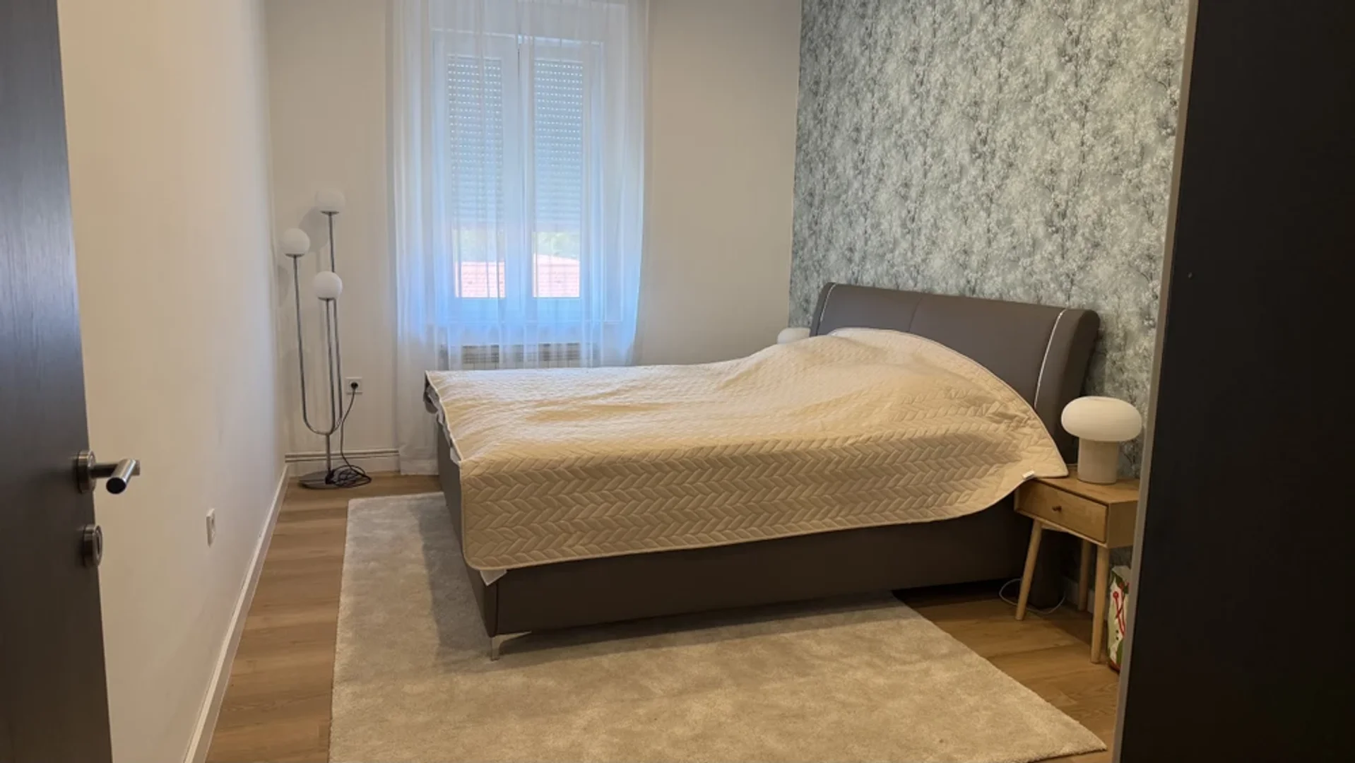 Vlaška ulica 24