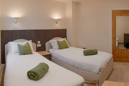 Entire apartment at Buckwell Street 18, image 14 of 14