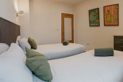 Entire apartment at Buckwell Street 18, image 5 of 14