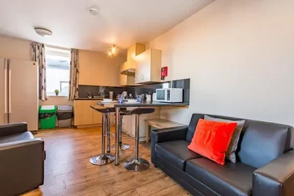 Özel oda Ikamet yerinde konumu 31-53 Lichfield St, Wolverhampton WV1 1EQ, UK, 11 14 görüntüsü