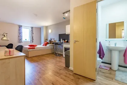 Özel oda Ikamet yerinde konumu 31-53 Lichfield St, Wolverhampton WV1 1EQ, UK, 7 14 görüntüsü