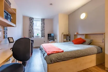 Özel oda Ikamet yerinde konumu 31-53 Lichfield St, Wolverhampton WV1 1EQ, UK, 9 14 görüntüsü