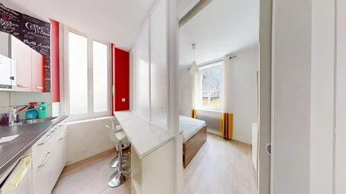 Gesamte Unterkunft in der Rue Emmanuel Brault, , bild 9 von 10