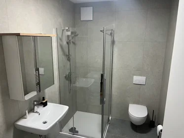Gesamte Unterkunft in der Podmilščakova ulica, Bežigrad, bild 4 von 8