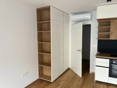 Gesamte Unterkunft in der Podmilščakova ulica, Bežigrad, bild 7 von 8